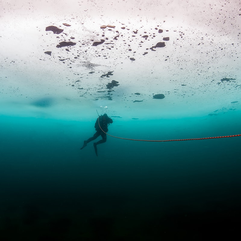 <p>An ice diver in Antarctica  (Credit: Kondratuk Aleksei/Shutterstock)</p>